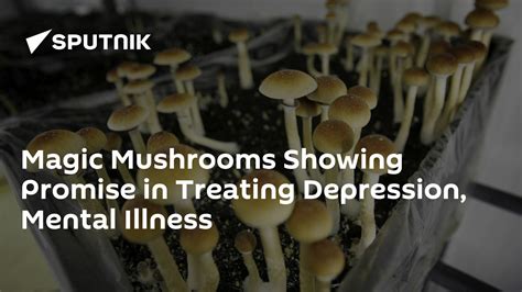 Magic Mushrooms Showing Promise In Treating Depression Mental Illness