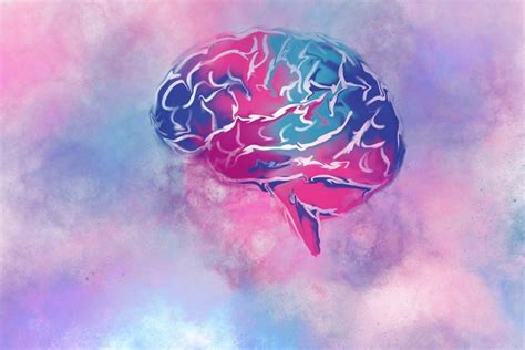 Neuropsicopedagogia Conheça Tudo Sobre A área Blog Esf