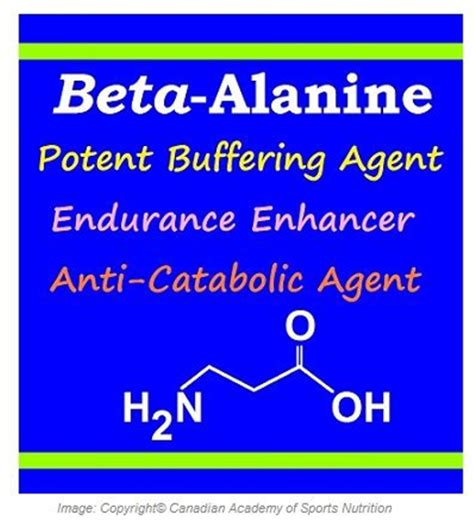 Benefits of Beta-Alanine Supplementation for Horses