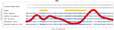 XCL1 Gene GeneCards XCL1 Protein XCL1 Antibody