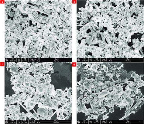 A series of the surfactants (a) no surfactant, (b) CTAB, (c) EDTA, (d ...