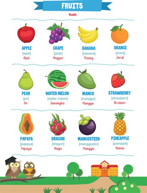 Fruits With Names Vector Art, Icons, and Graphics for Free Download