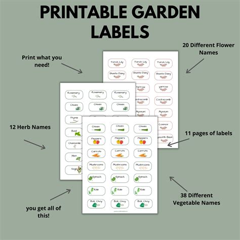 Printable Garden Labels, Vegetable Labels, Vegetable Stickers, Flower ...