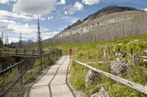 Marble Canyon Trail stock photo. Image of route, kootenay - 23987304