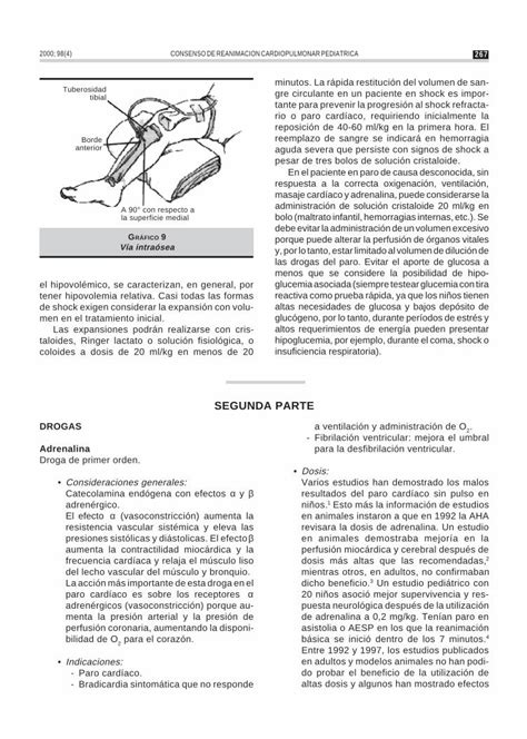 PDF Consenso de Reanimación Cardiopulmonar Pediátrica DOKUMEN TIPS