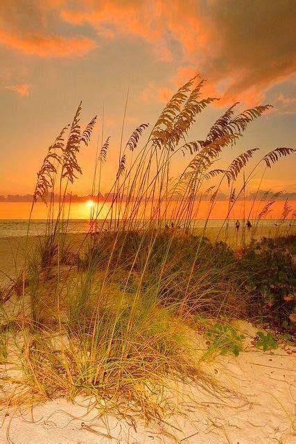 Yellow Blue Seascape Sunset Florida Beach Fine Art By Eszra Tanner