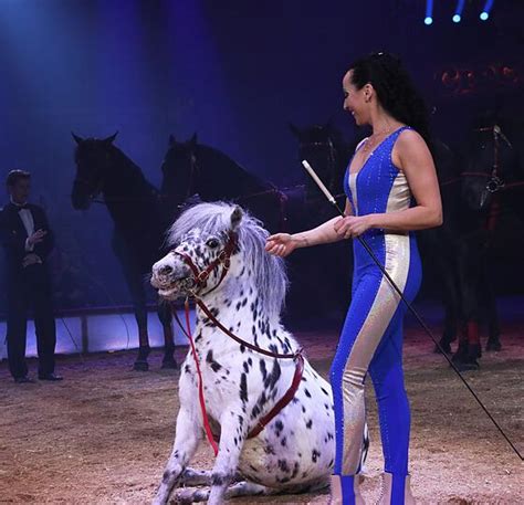 Circus Krone Startet Neues Programm Luftballett Und Lamas