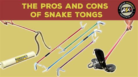 The Pros And Cons Of Snake Tongs African Snakebite Institute