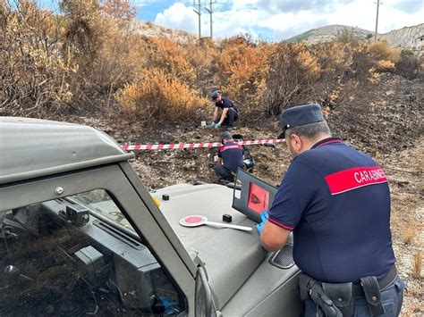 Donna 68enne Di Caserta Indagata Del Delitto Di Incendio Boschivo