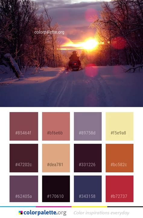 Snow Winter Sky Color Palette | colorpalette.org