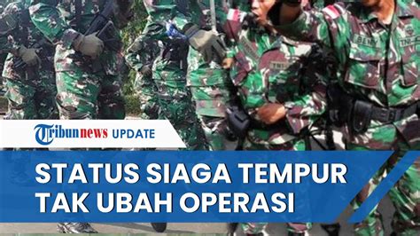 Pengamat Bongkar Status Siaga Tempur Usai Penyerangan KST Papua Tak