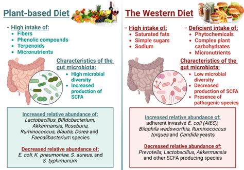 Comparison Of Plant Based And Western Diet In Nutrients And