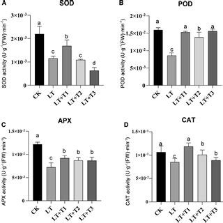 Effects Of Trehalose On Protective Enzyme Activities Of C Roseus