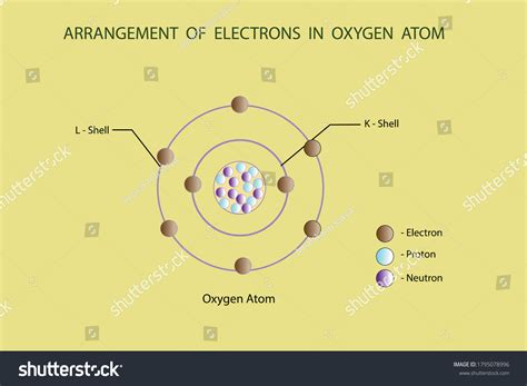 Vector Diagram Arrangement Electrons Nitrogen Atom Stock Vector