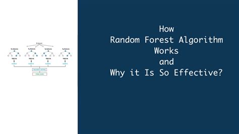 How Random Forest Algorithm Works And Why It Is So Effective