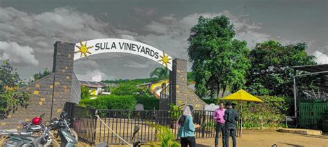 Wine Tasting Day Tour Sula Vineyards Nashik From Mumbai