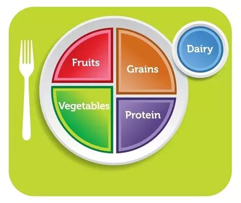 The Five Main Food Groups - Aro Base Cafe