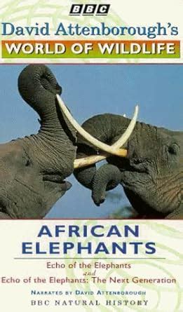 David Attenborough's World of Wildlife 8 - African Elephants [VHS ...