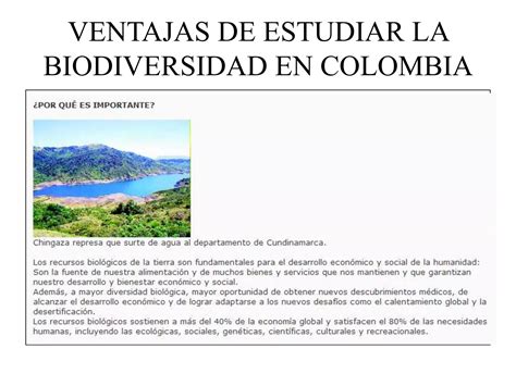 Ventajas De La Biodiversidad En Colombia Ppt Descarga Gratuita