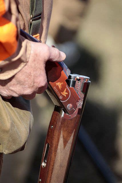 Gentleman Bobwhite In 2024 Upland Hunting Bird Hunting Hunting