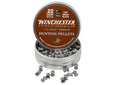 Daisy Winchester Hunting Pellets 22 Cal 14 5 Grains Domed 175ct