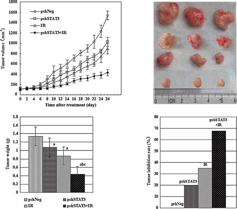 Silencing Stat3 With Short Hairpin Rna Enhances Radiosensitivity Of