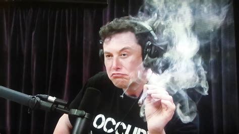 Guarda Elon Musk Che Si Fuma Una Canna