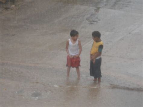 Niños Orinando En Un árbol La Curiosa Costumbre Al Aire Libre