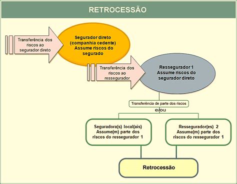 Resseguro Como Funciona Etapas E Mais SeguroAuto