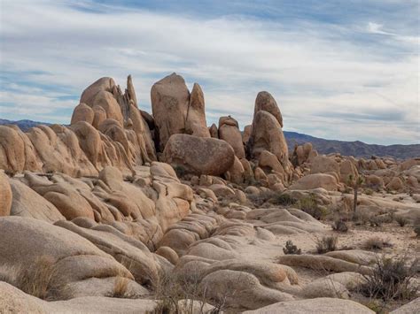 The 13 Best Hikes In Joshua Tree National Park