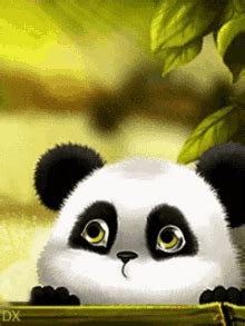 Cute Panda Gif