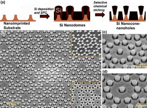 A Schematic Of The Process Steps For The Fabrication Of C Si Download Scientific Diagram