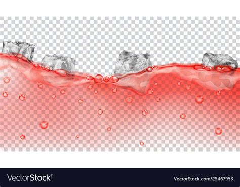 Ice cubes floating in water Royalty Free Vector Image