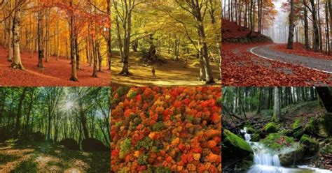 I Luoghi Speciali Dove Ammirare Il Foliage In Abruzzo Lazio E Molise