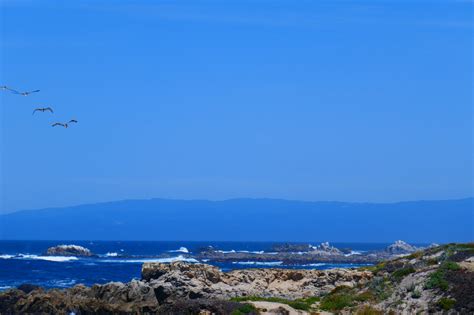 Asilomar State Beach