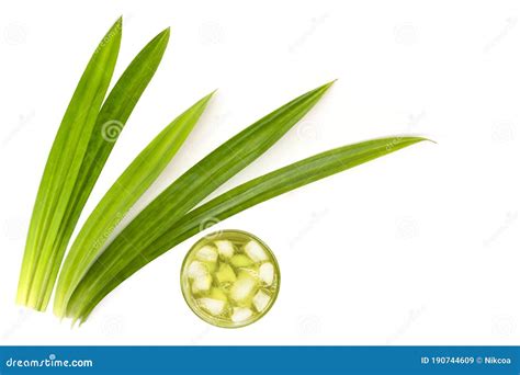 Pandan Leaf Pandanus Amaryllifolius Come and Glass of Pandan Ice Tea Isolated on White Stock ...