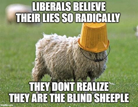 Stupid Sheep Imgflip