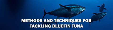 Methods And Techniques For Tackling Bluefin Tuna Melton Tackle