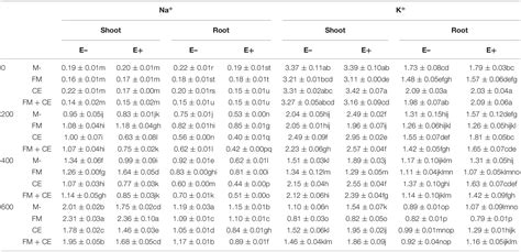 Frontiers Interactive Effects Of Epichlo Endophytes And Arbuscular