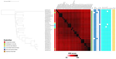 TropicalMed Free Full Text Putative Pathogenic Genes Of Leptospira