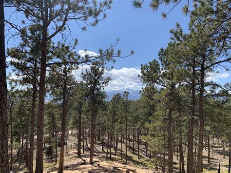 Fox Run Loop Trail: A Colorado Springs Gem - A Traveler's Detailed