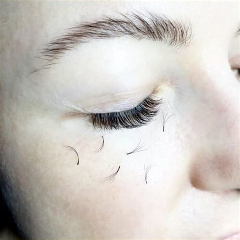 How Many Eyelash Extensions Should Fall Out Per Day