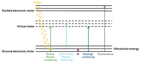 Raman Spectroscopy Unchained Labs