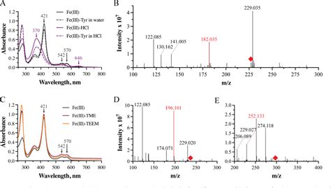 Figure 3 From Insights Into Substrate Recognition By The Unusual