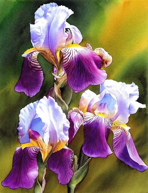 Guest Artist Nature Inspired Watercolors By Krzysztof Kowalski