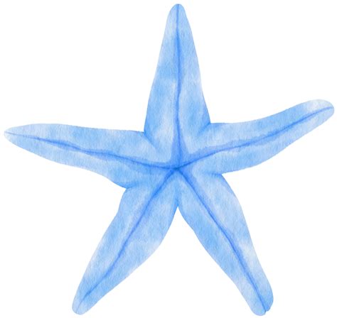 Clipart Em Aquarela De Estrela Do Mar Png Estrela Estrela Do Mar Porn Sex Picture