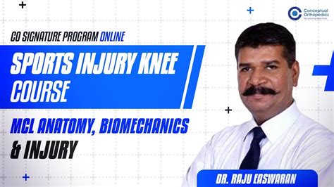 Sports Injury Knee Course Highlights On Mcl Anatomy Biomechanics And