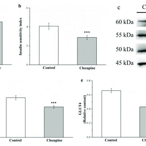 A Homeostatic Model Assessment For Insulin Resistance Homa Ir And