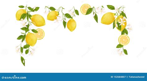 Lemon Art