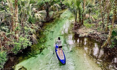 Kayaking From King's Landing - impulse4adventure - Florida Adventures